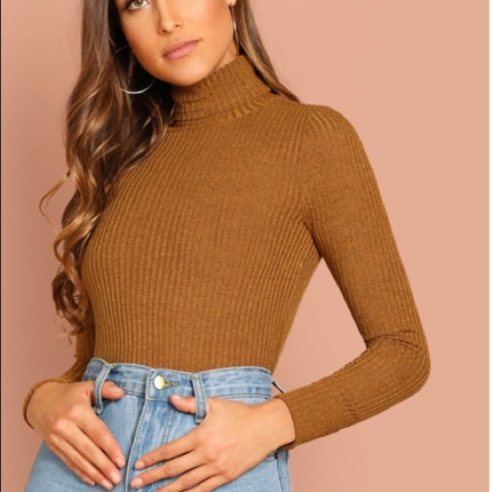 Brown rib-nit fitted turtleneck